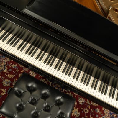 Steinway & Sons 5'7" Model M Grand Piano | Satin Ebony | SN: 466703 image 4