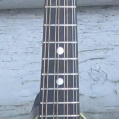 Lyon & Healy Style B mandolin, 1924 image 8