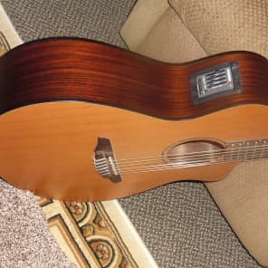 Breedlove AN 250 / CR  Natural image 7