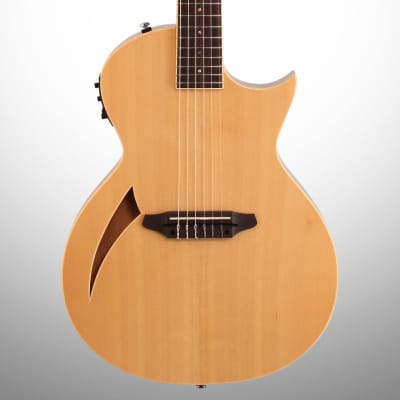 ESP LTD TL-6N Thinline-6 Nylon Classical Acoustic-Electric Guitar, Natural image 1