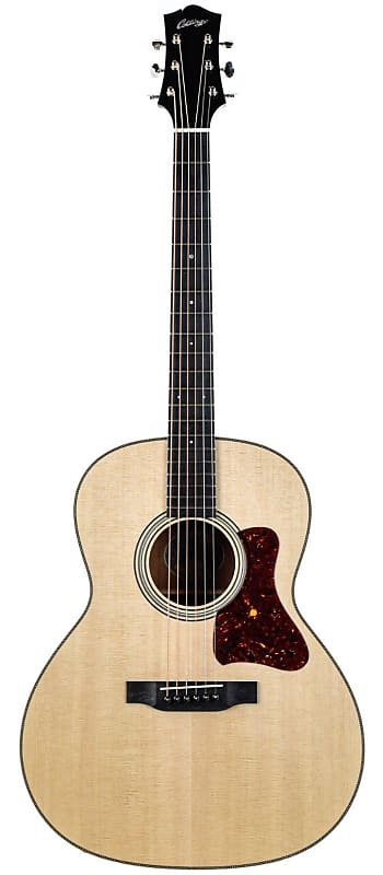 Collings C100 image 1