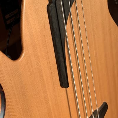 Furch 4-String Acoustic-Electric Bass w/ LR Baggs SPE #84744 image 10
