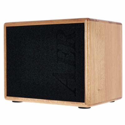 AER Compact-60/4-ONT | 60W Acoustic Amp w/ 8" Speaker, Natural Oak. New with Full Warranty! image 11