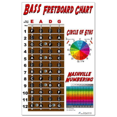 4 String Bass Fretboard Instructional Chart Poster Nashville Numbering Theory 11x17 Beginner Easy image 2