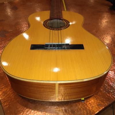 Vintage PG TG Carmen Flamenco Parlor Classical Nylon
