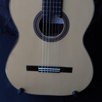 2019 Darren Hippner Torres Model Rosewood and Spruce Classical Guitar image 14