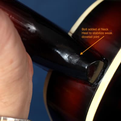 Kay 395 Electric Mandolin 1960s / Anyone for Venice? image 10