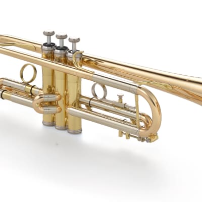 H. Ganter G3a C German Rotary Trumpet, Gamonbrass