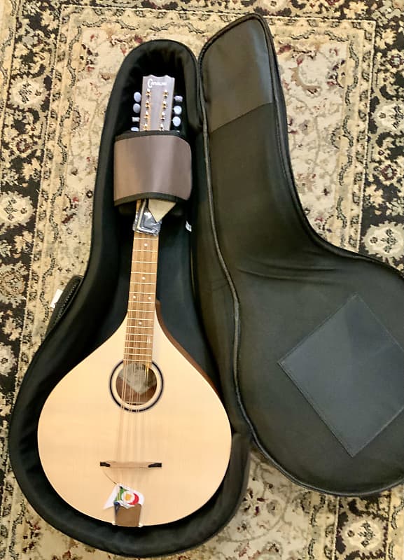 Carvalho MOC305 Octave Mandolin rigid bag image 1