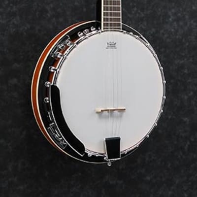 Ibanez B50 5-String Resonator Banjo image 1
