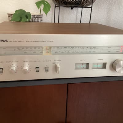 Yamaha CT-800 1976 - Silver/Walnut | Reverb