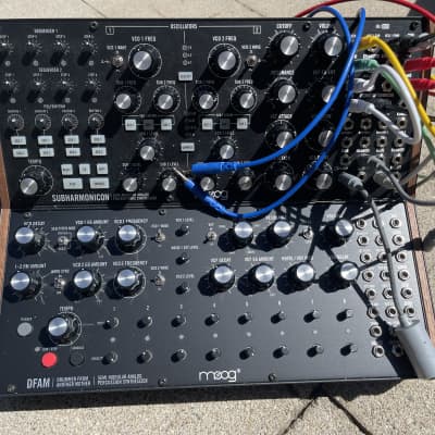 Moog Sub Harmonicon and DFAM with 2-Tier Rack Bundle and MIDI to CV image 3