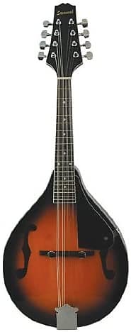 Savannah Model SA-100 A Style Mandolin in a Sunburst Finish w Compensated Bridge image 1