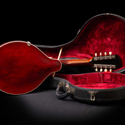 Gibson Mandoline A3 1919 - Ivory image 4