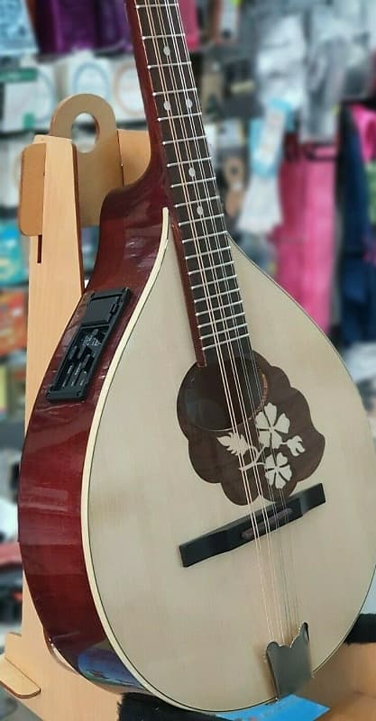 HORA M1087 flower octave mandolin with EQ, short scale irish bouzouki,  solid wood, NEW