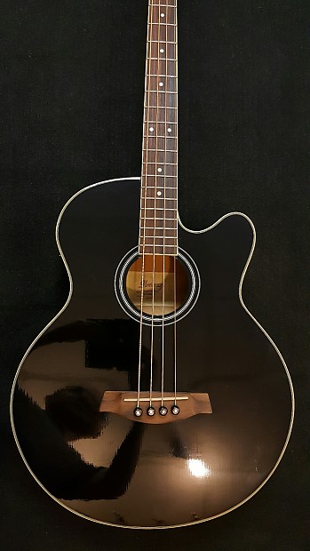Ibanez 2025 aeb5e case