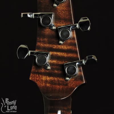 Nechville Maple Midnight Phantom 5 String Resonator Banjo with Case - 2015 image 8