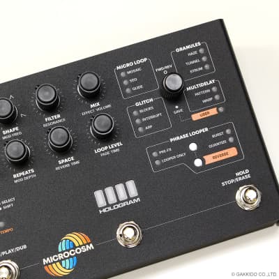 Hologram Electronics Microcosm Black Colorway image 6