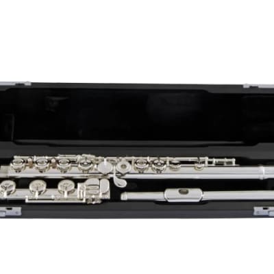 Selmer SFL511BEO Concert Flute Outfit image 2
