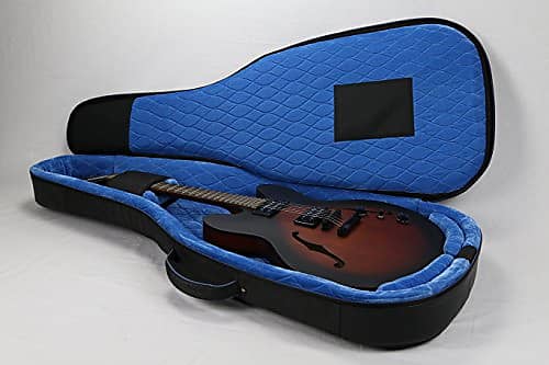 Reunion blues semi sale hollow gig bag