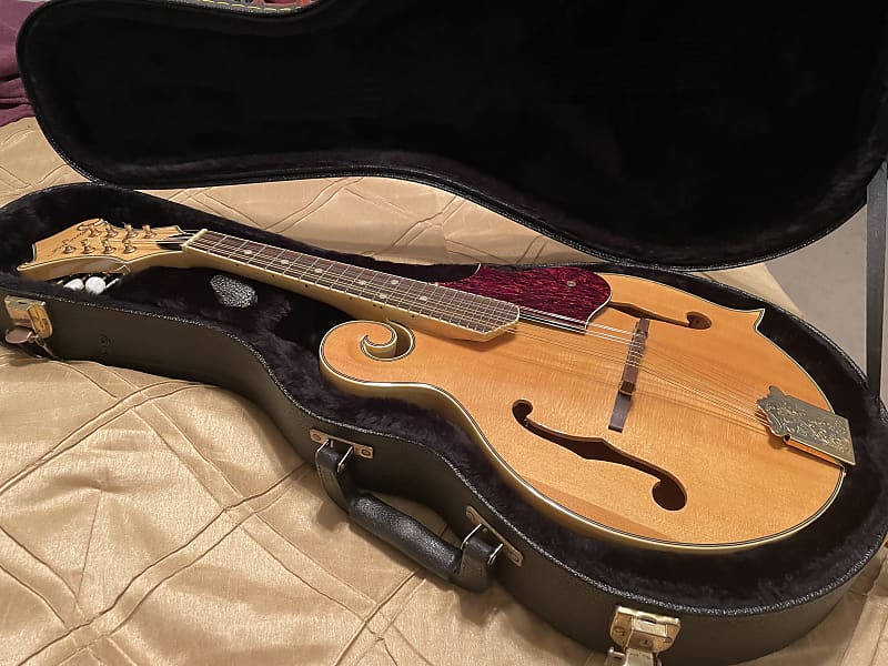 Infinity Fstyle flamed Maple mandolin with hard shell case Reverb