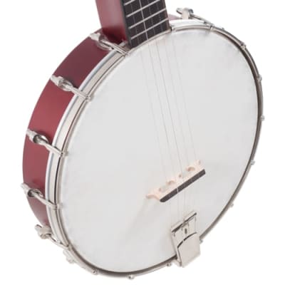 Recording King RKH-05 Dirty 30s Resonator Banjo, Satin image 4