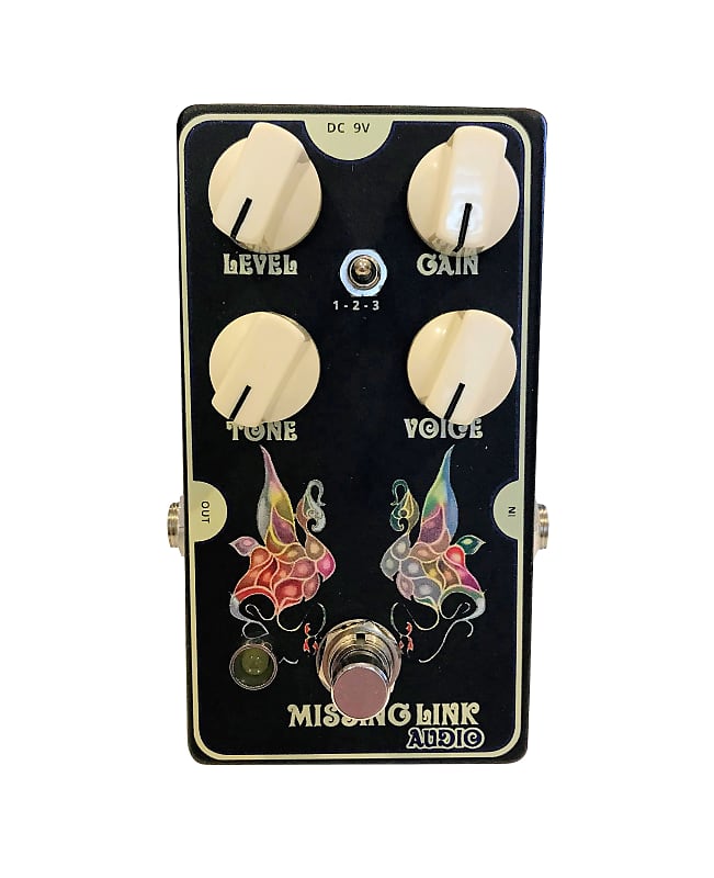 (DUANE ALLMAN )MISSING LINK AUDIO PEACOCK OVERDRIVE  FILLMORE EAST IN A BOX image 1
