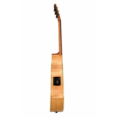 Andrew White Guitars EOS 132 MP 3 Tone Sunburst 2022 - 3 Tone Sunburst image 4
