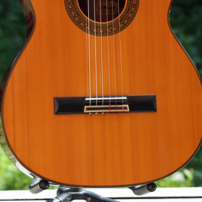 Terada El Degas ED-500 Handmade Concert Classical Guitar
