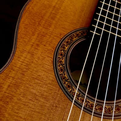 DAVID ARNOLDO RUBIO Concert Guitar 2022-Cedar/Palo Escrito for sale