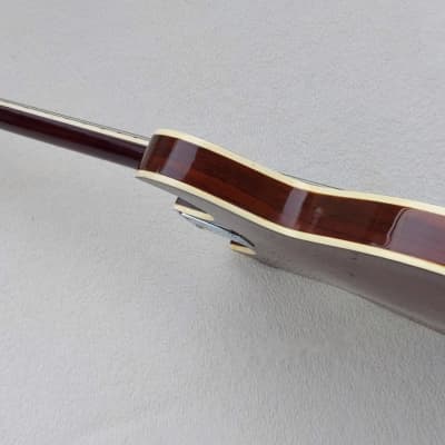 Life H510 – 1960s Vintage Semi Acoustic E-Guitar 6 String Gitarre image 12