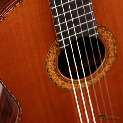 1995 Paris Banchetti Concert Classical, Brazilian Rosewood/Cedar image 11