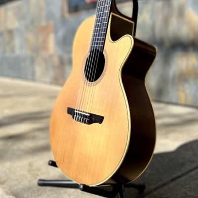 Used Takamine NPT-110(n) Nylon Acoustic Guitar with Hardcase image 1