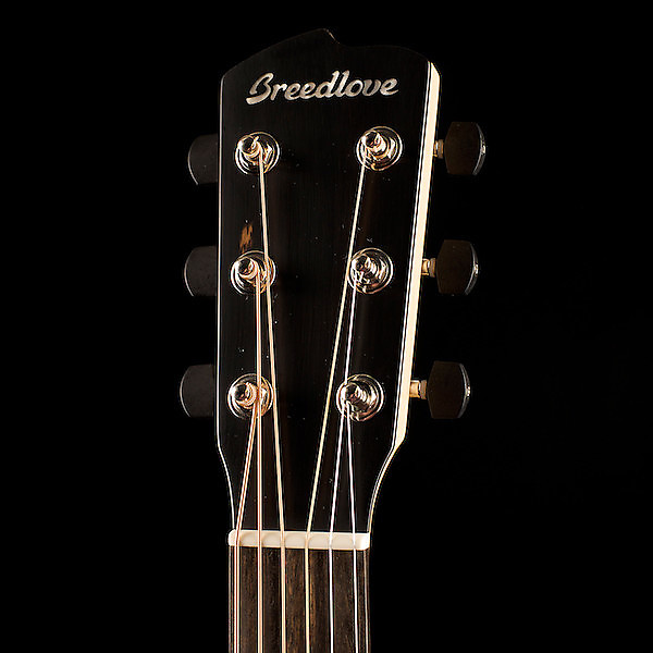 Breedlove Oregon Dreadnought Acoustic Guitar image 4