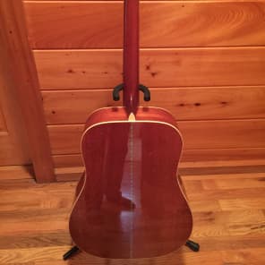 Ibanez Artwood AW100 Dreadnaught Acoustic with Roadrunner Case image 4