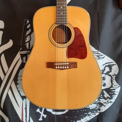 Ibanez Artwood AW-10 Dreadnought & Chipboard Case by Guitars For Vets for sale
