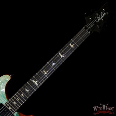 Paul Reed Smith PRS Wood Library 10 Top Custom 24 Floyd Rose Ebony Fingerboard Flame Maple Neck Blue Fade image 4