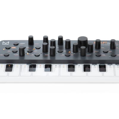 Modal Electronics Skulpt SE 4-Voice Analog Synthesizer | Reverb Canada