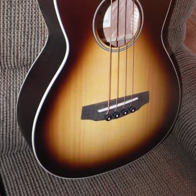 Ibanez pnb15e deals