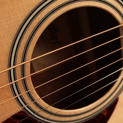 Cort AF510OP Standard Series Concert Body Spruce Top Mahogany Neck 6-String Acoustic Guitar image 4