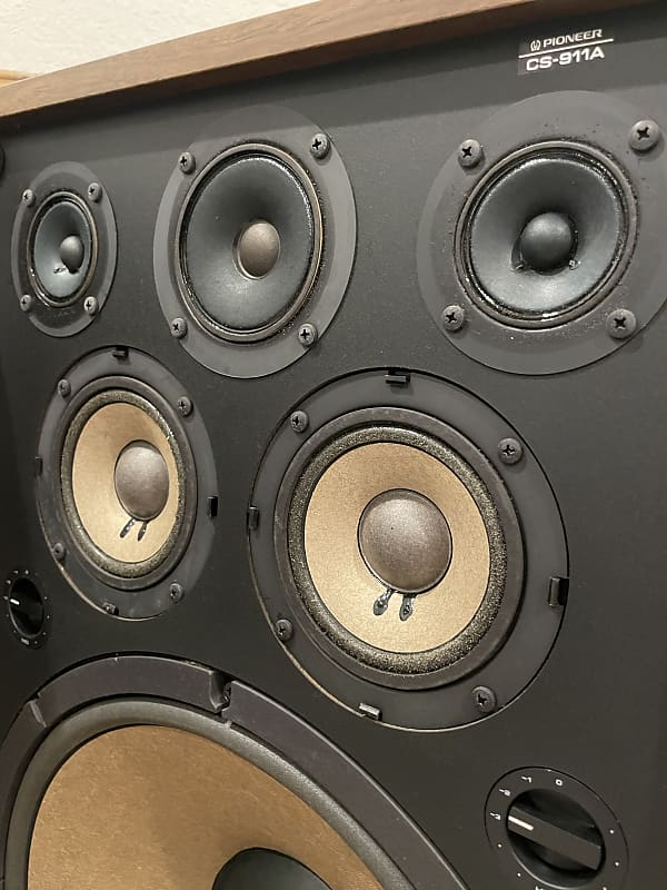 Pioneer Speakers Pioneer Csj825q Bad Cat Celestion Bad Cat Cub