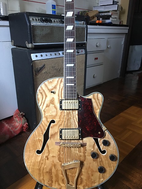 Johnson JH 480N Archtop Hollow Body Jazz Guitar