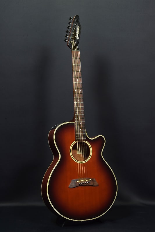 Takamine PT-106-6 シングルヘッド ホール＆コンタクトPU付 Takamine PT-106-6 シングルヘッド ホール＆コンタクトPU付
