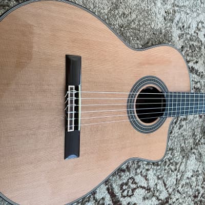 2021 Kenny Hill New World Player Crossover Classical Guitar / P650CFS / w/ Baggs Pickup image 4