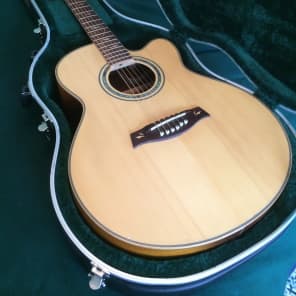 Ibanez Vine acoustic-electric solid wood beauty image 3