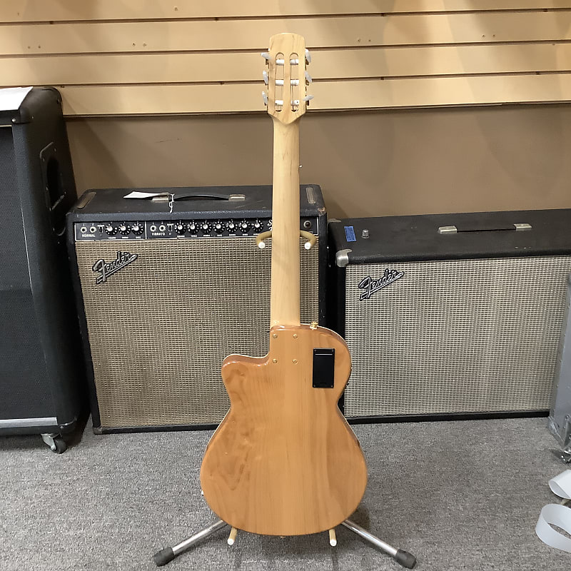 Carruthers' Guitars, Venice, California, Thinline Nylon | Reverb