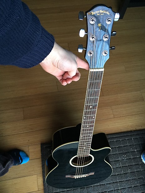 Palmer acoustic guitar price top