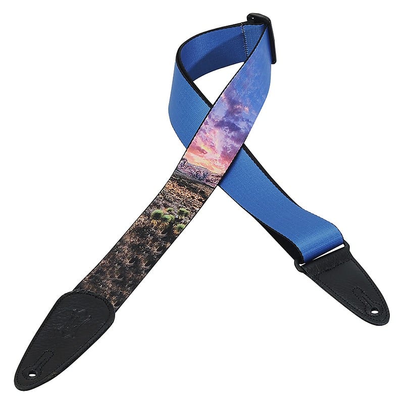 Levy's 2" Polyester Guitar Strap MPDS2-004 image 1