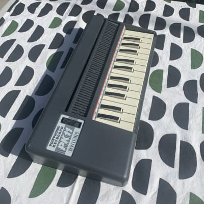 Bontempi PK11 Air-Powered Electronic Reed Organ 1980s - Gray | Reverb