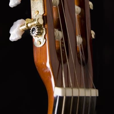 Washburn Classical Series C5 Classical Acoustic Guitar, Natural, New, image 5